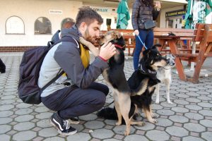 Pes Jerry Dočasky.cz