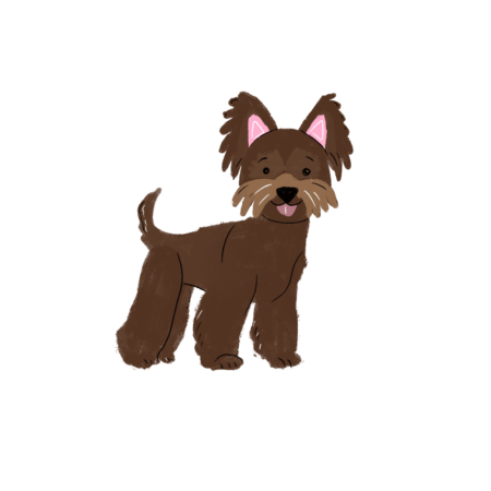 Dogsie pro malého mazlíka