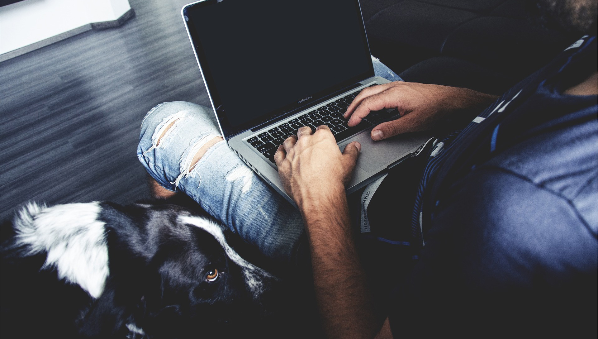 pes vedle muže s počítačem