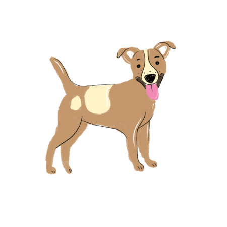 Jednorázové Dogsie pro středního rošťáka