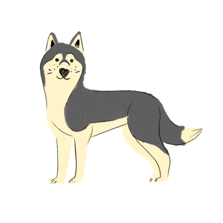 Jednorázové Dogsie pro velkého hafana